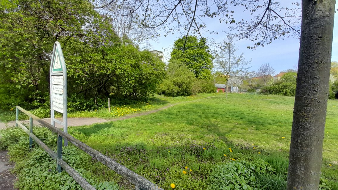 Auf dem Bild zu sehen ist ein Zaun und ein Baum im Vordergrund sowie eine grüne Rasenfläche mit Wildblumen und weitere Bäume.