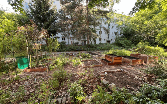 Schulgarten der Schule am Wildgarten © SCHÖNHERR Landschaftsarchitekten 2025